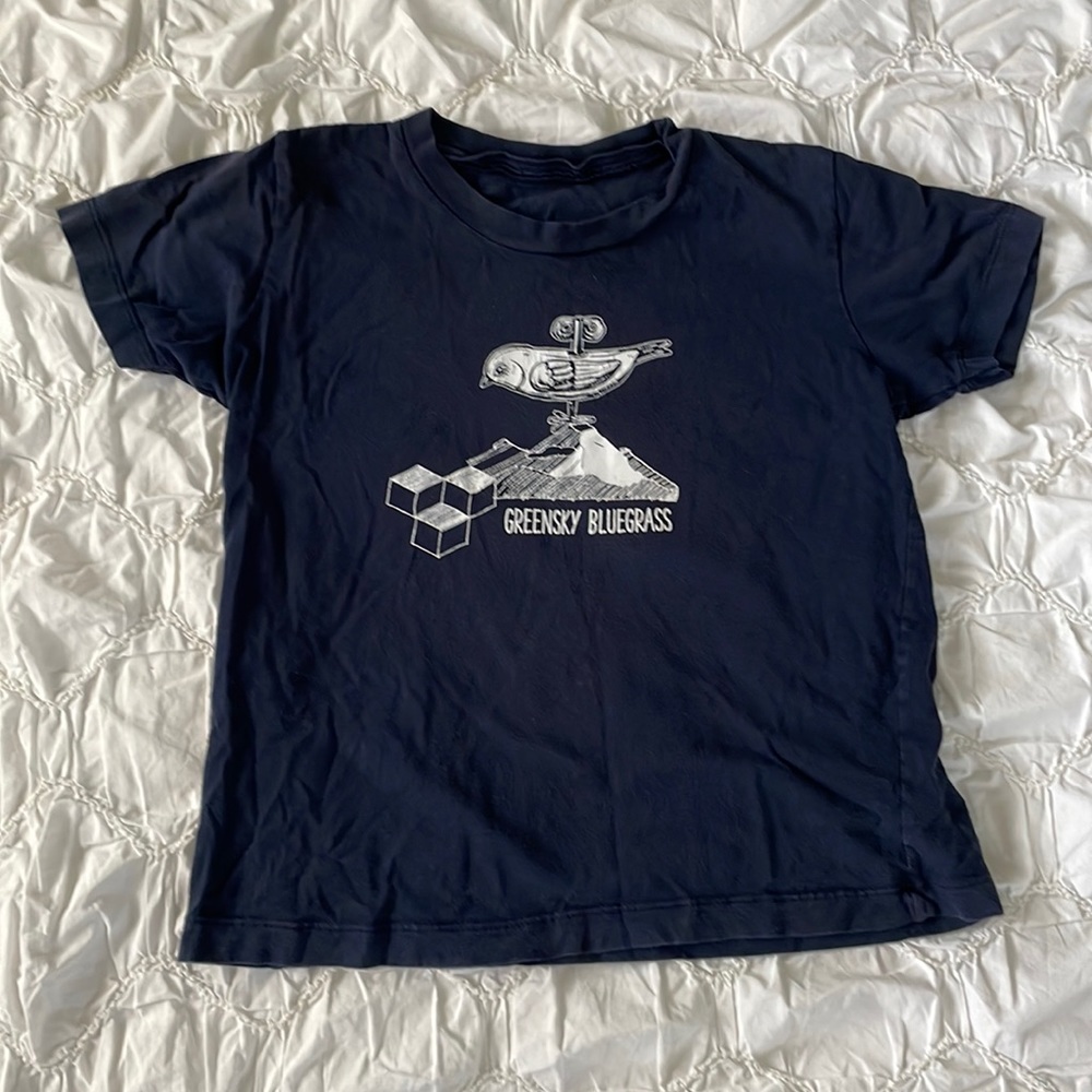 Greensky Bluegrass band tshirt.